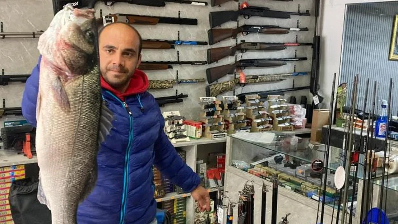 Sinop'ta dev levrek avı: 7,5 kiloluk balık yakalandı