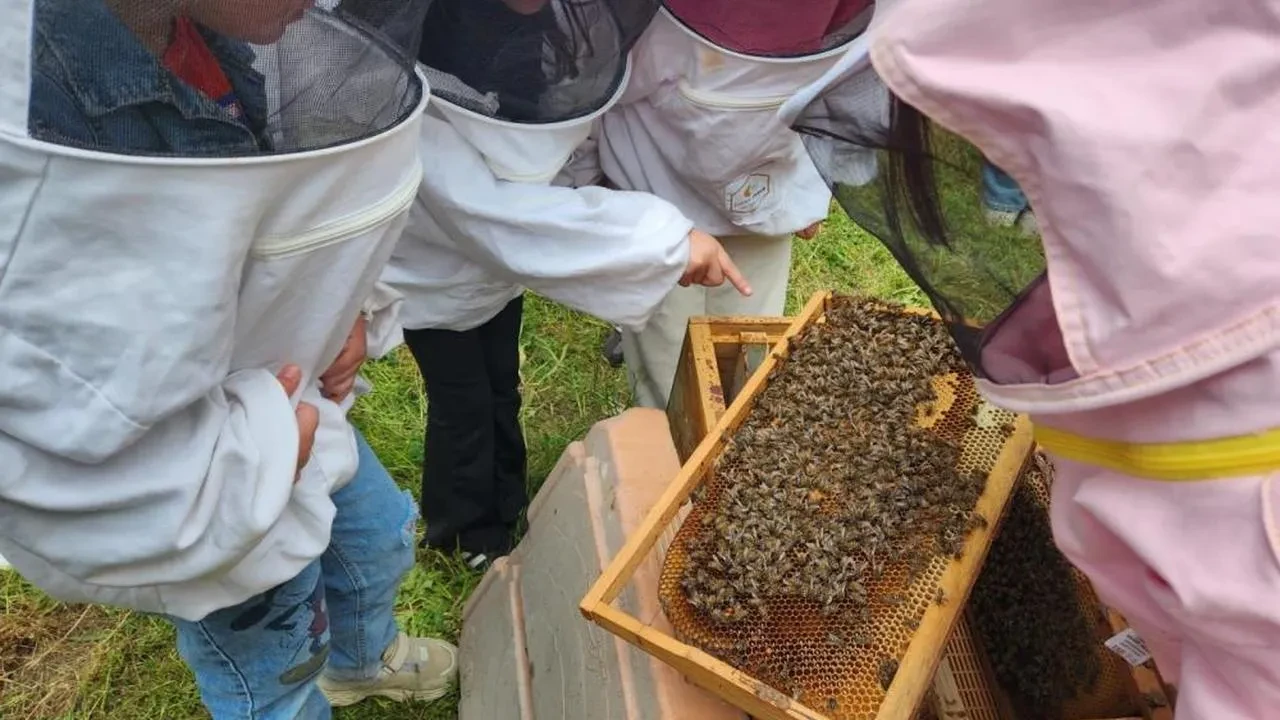 Düzce Üniversitesi'nde minik öğrenciler arıların dünyasını keşfetti