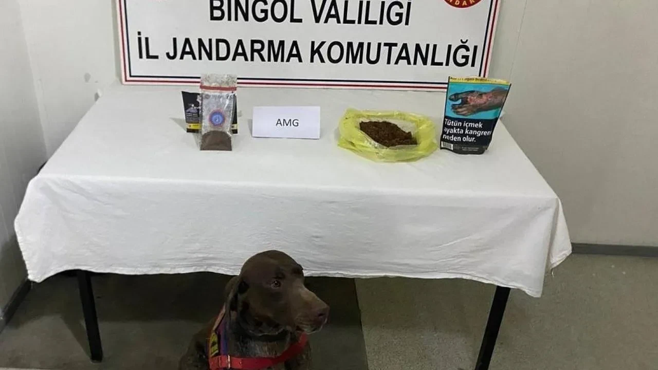 Bingöl'de yolcunun üzerinden bonzai çıktı: F.k. İsimli şahıs yakalandı