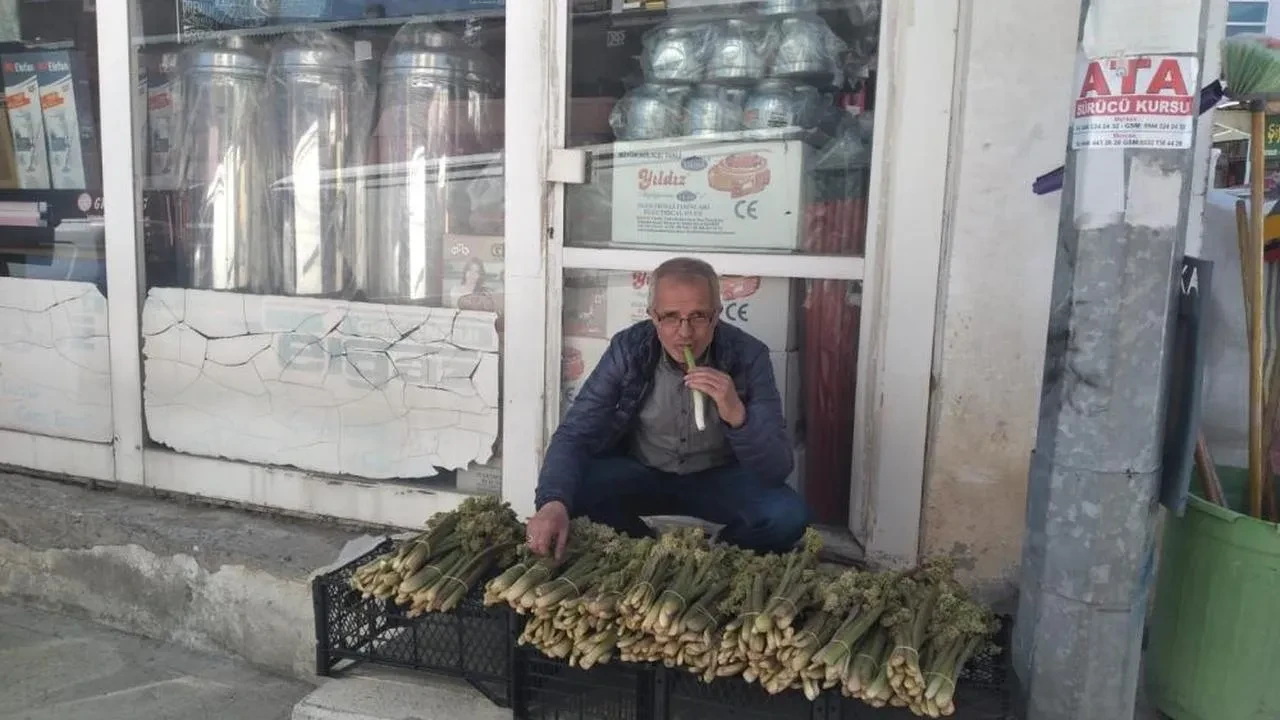 Yayla muzu' tezgahları doldurdu! Destesi 50-80 TL'den satılıyor