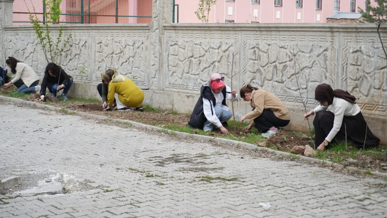 Muş'ta doğaya kadın eli değdi: Öğretmenlerden anlamlı ağaçlandırma