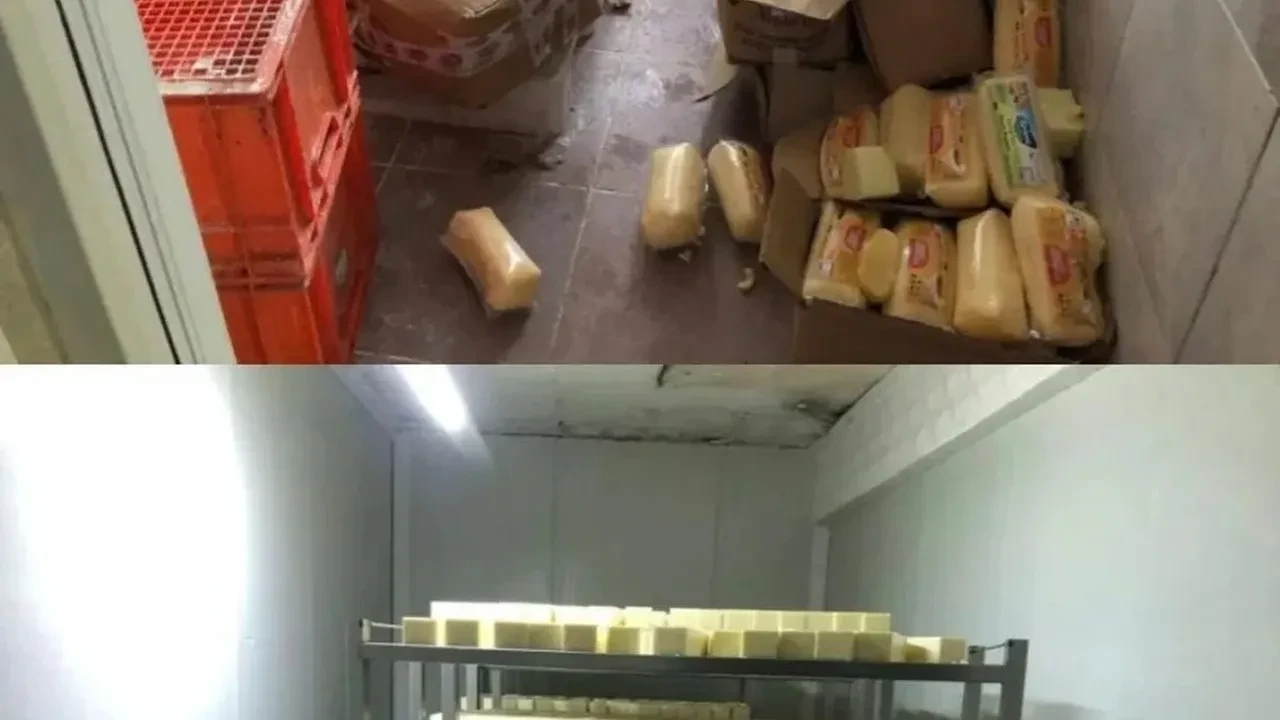 Pamukova'da 1,5 milyon TL'lik usulsüz peynir operasyonu: Eldivenli şikayetle ne bulundu?