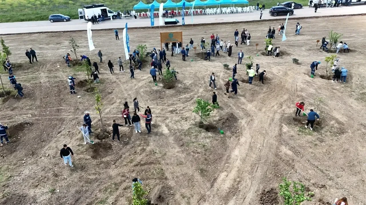 Kocaeli'nde doğa seferberliği: 3500 fidan toprakla buluştu