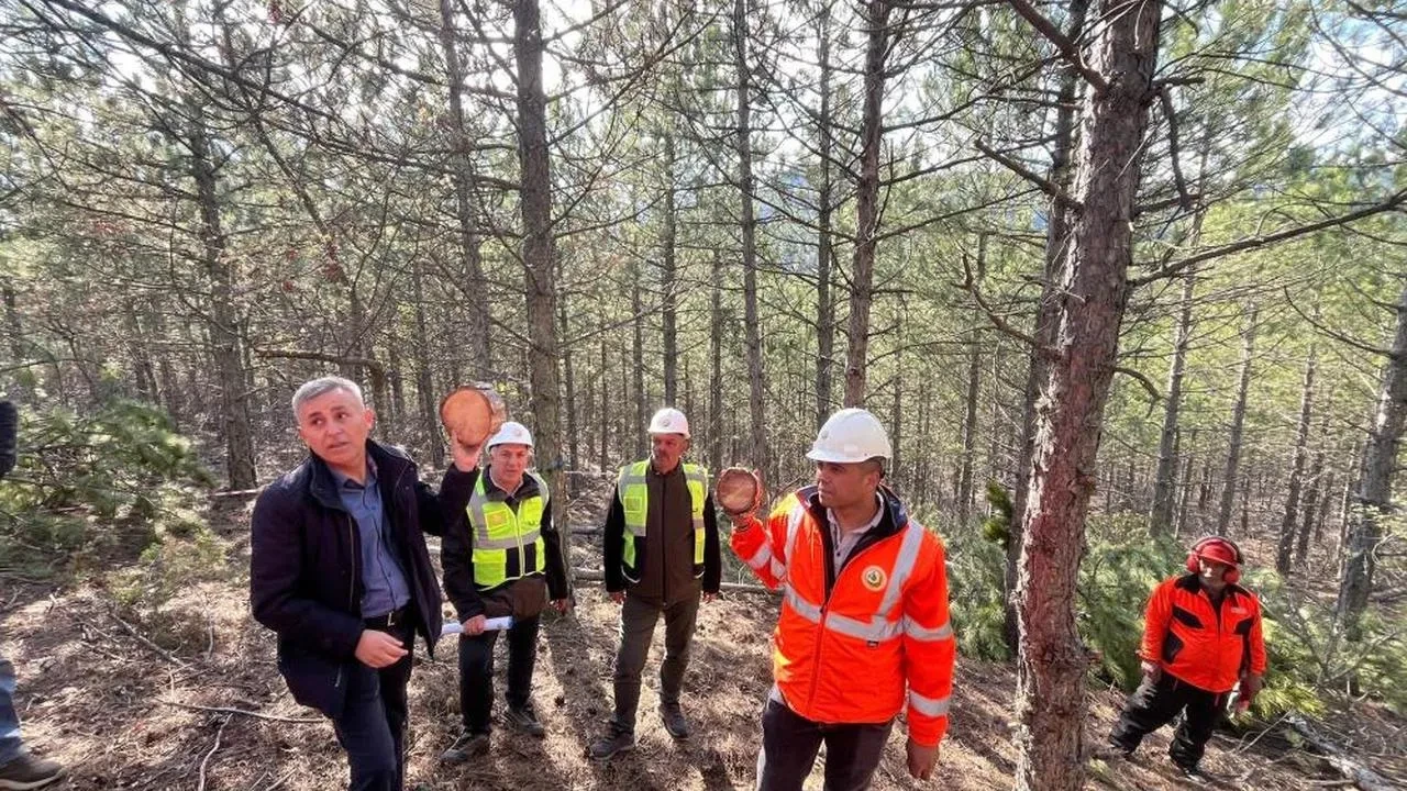 Kütahya'da ormancılık eğitimi: Sürdürülebilir geleceğe adım atıldı