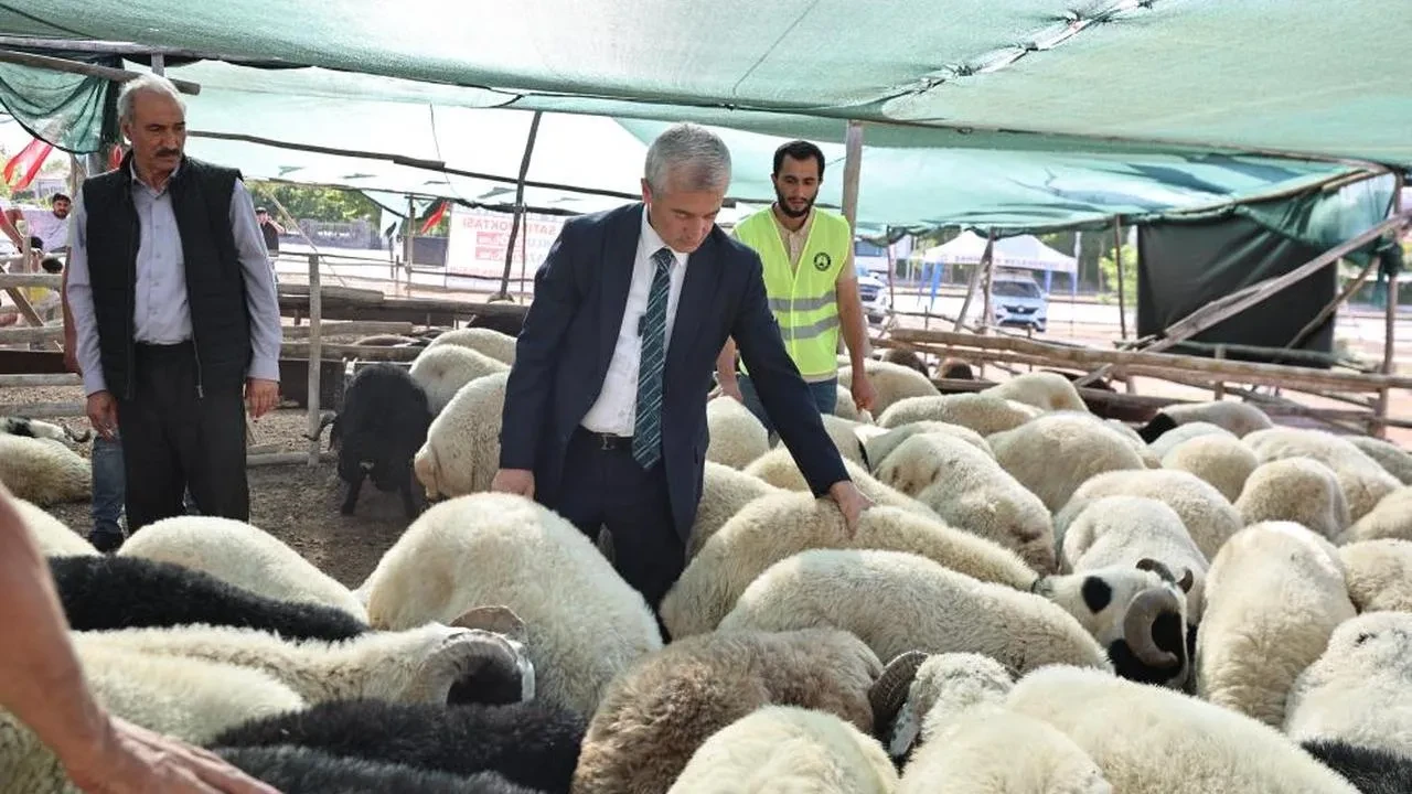 Kurban Bayramı'na özel fırsatlar: Şahinbey Belediyesi uygun fiyatlarla kurbanlık satışı yapacak!