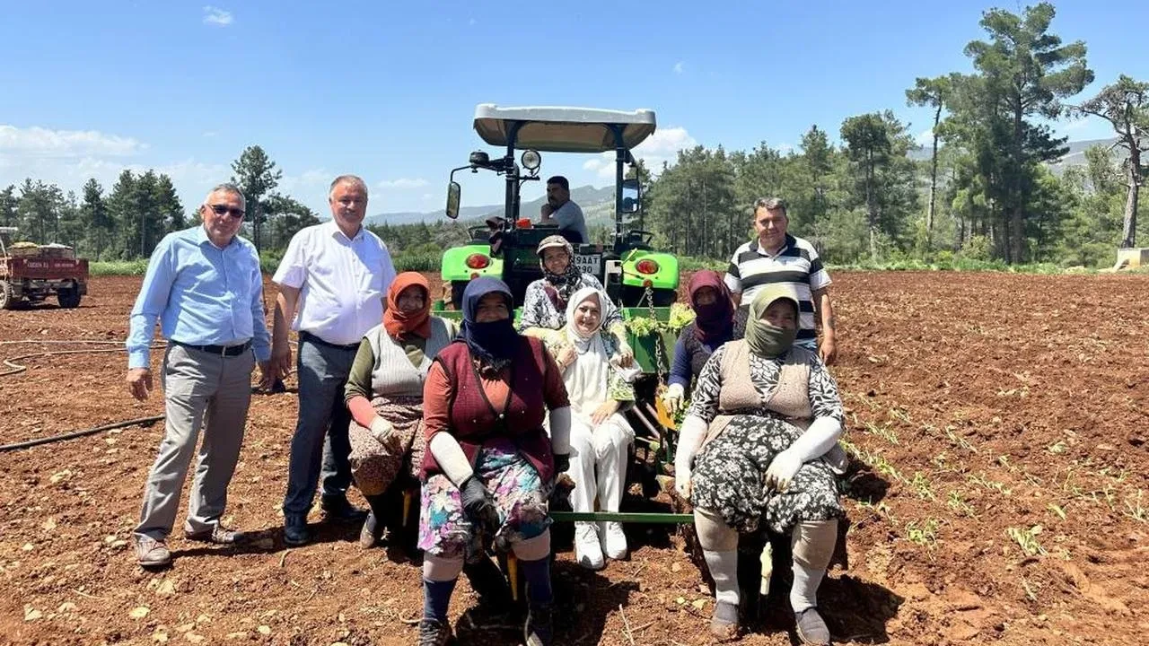 Denizli Milletvekili Ün, Anneler Günü'nü tütün tarlalarında kadınlarla kutladı
