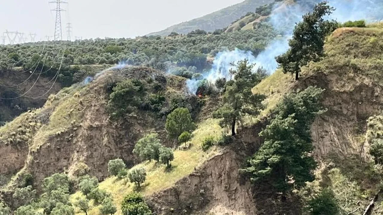 Aydın'da korkutan yangın: İtfaiye ve Orman Ekipleri müdahale ediyor