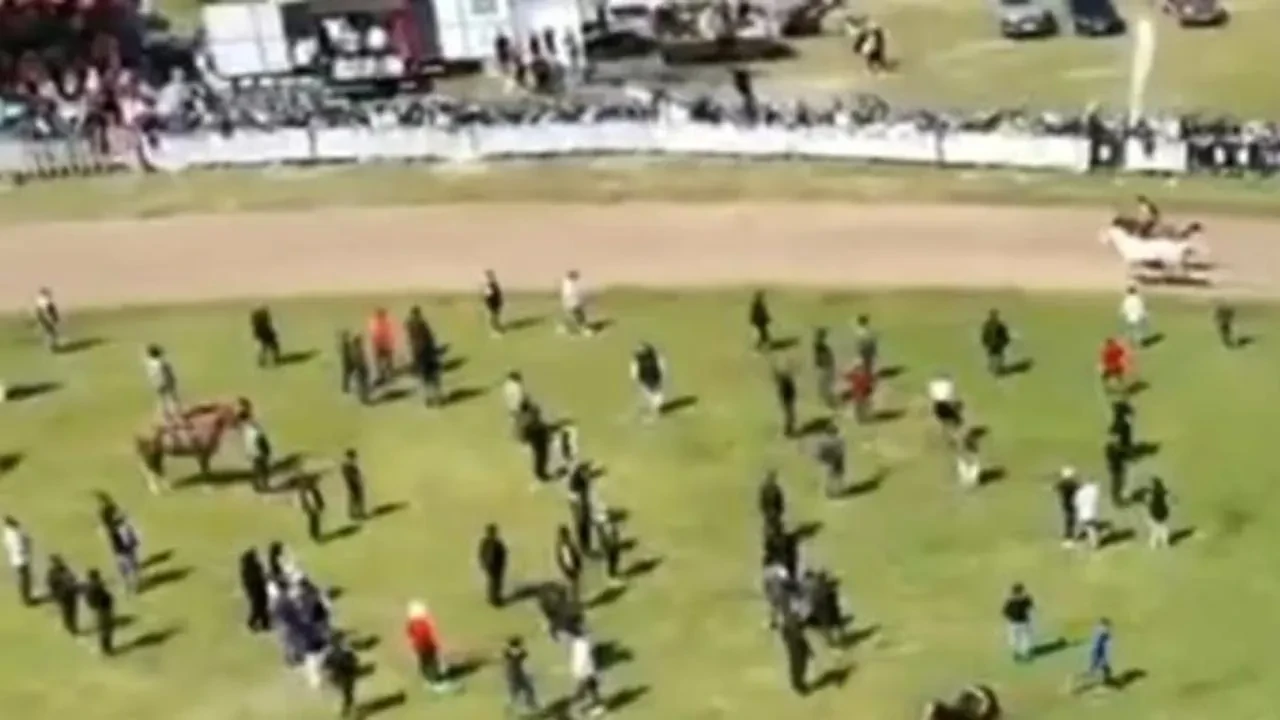 Balıkesir'deki rahvan at yarışında şok gelişme: Jokeyini düşüren at birinci oldu