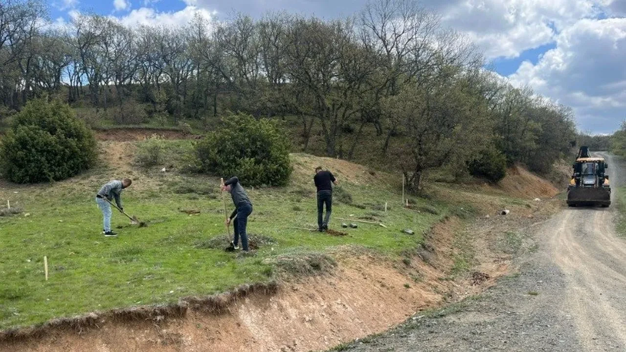 Kütahya'da hükümlüler doğaya katkı sağlıyor: 700 fidan dikildi, mesire alanı temizlendi