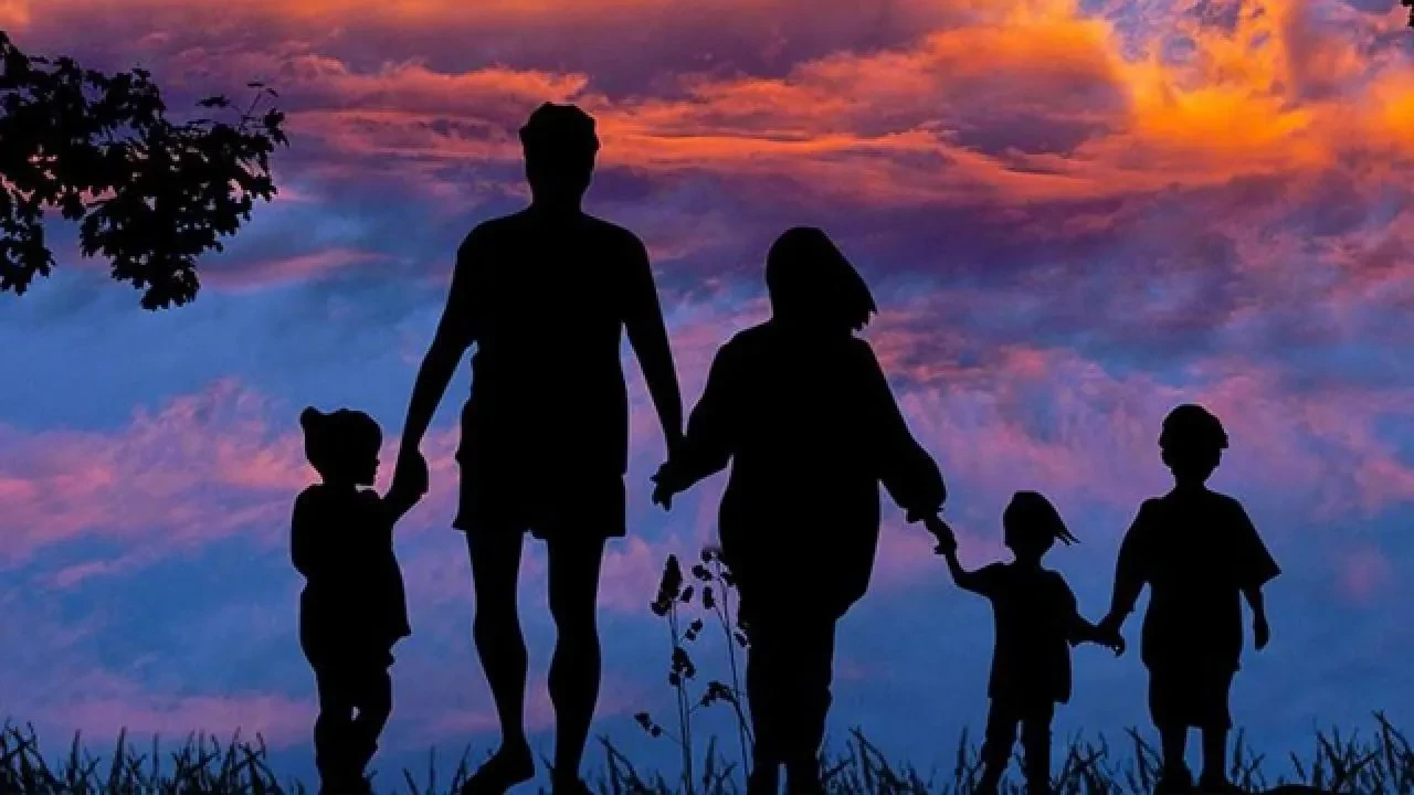 Türkiye'de aile yapısı değişiyor: Tek kişilik haneler %20'ye ulaştı, hangi şehirler öne çıkıyor?
