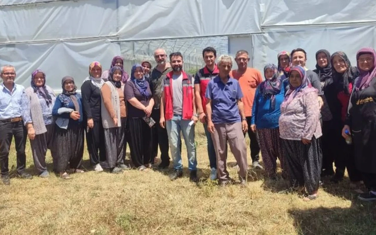 Kandıra tarım müdürlüğü örtüaltı üreticileri bilgilendirdi