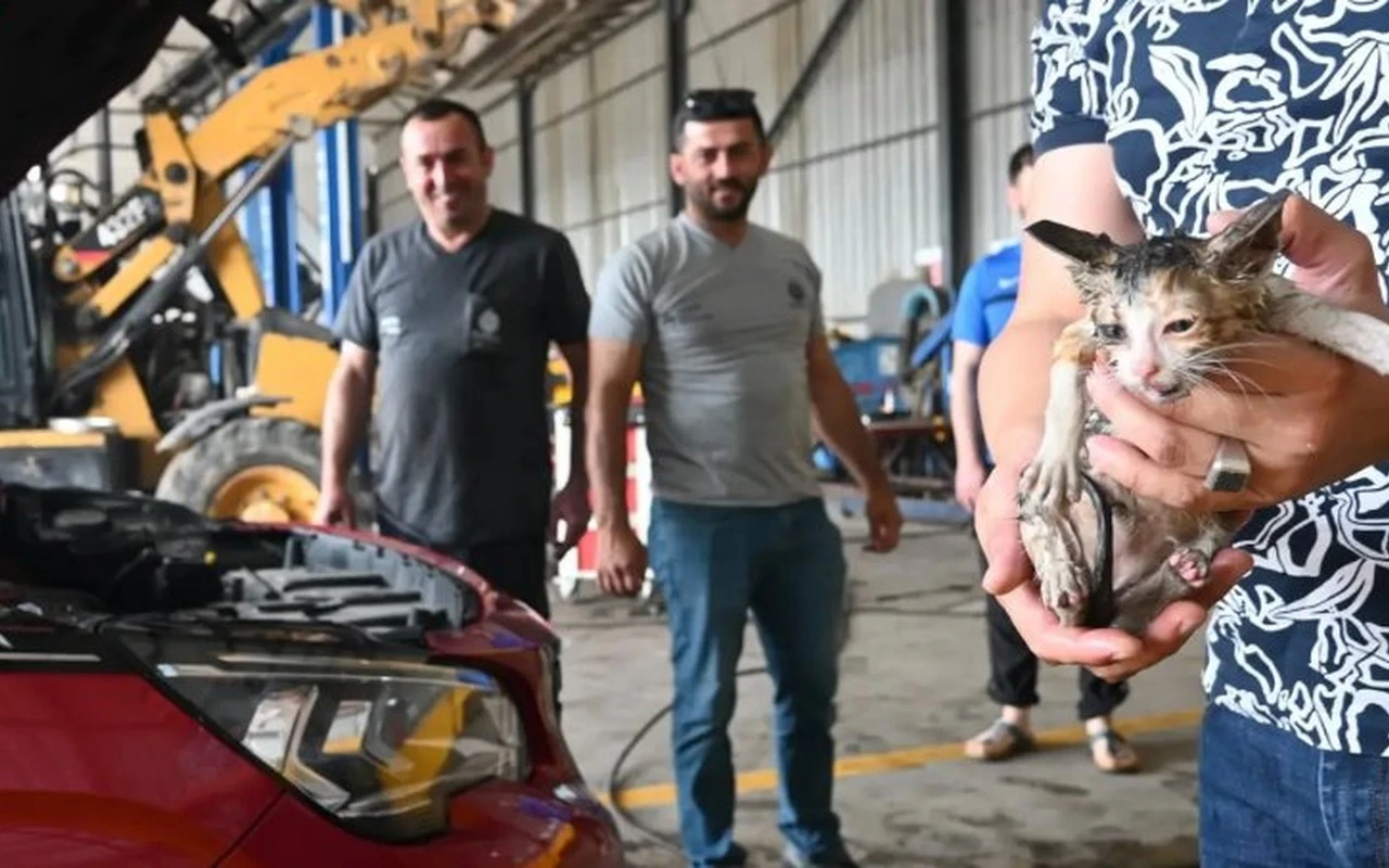 Başiskele Belediyesi araçta sıkışan kediyi kurtardı