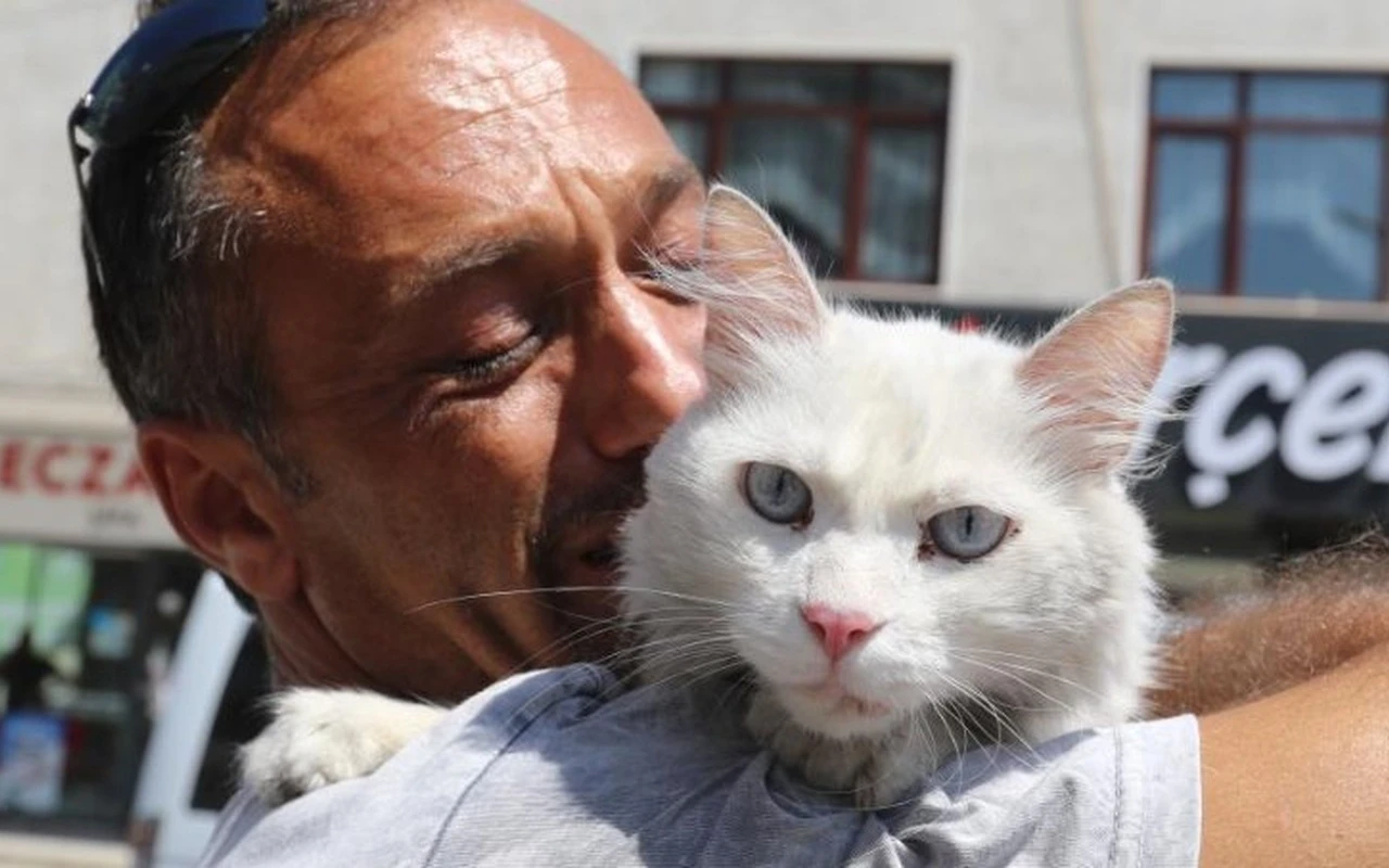 Gölcük'te kayıp kedi sahibine kavuştu
