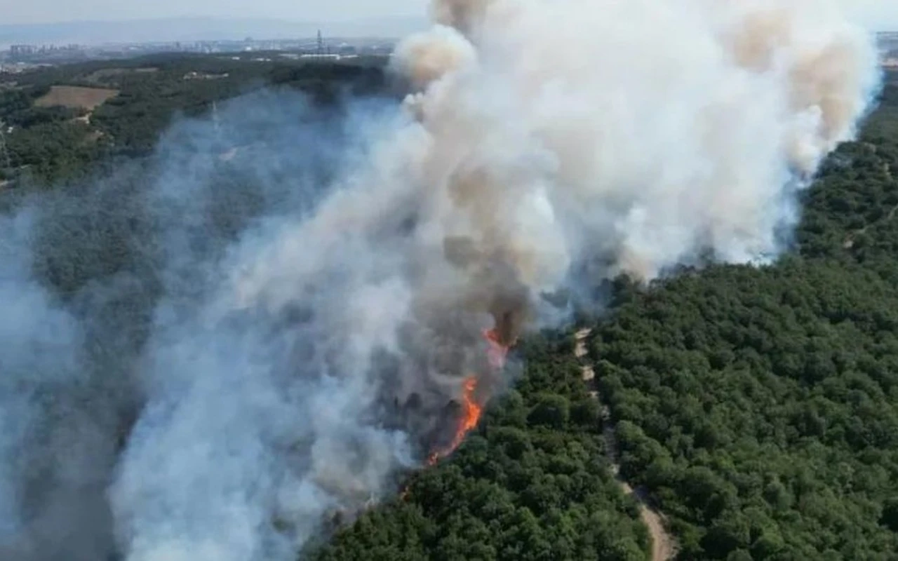 Gebze orman yangını kontrol altına alındı