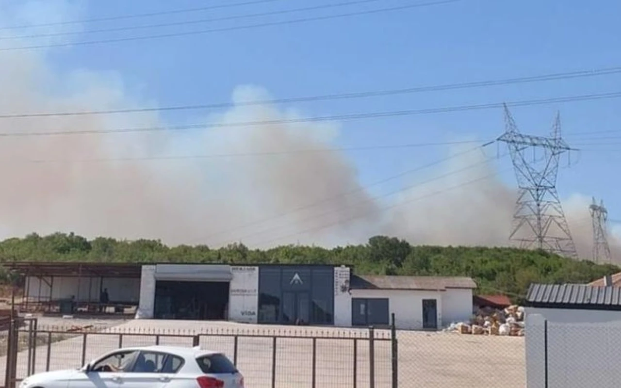 Gebze ormanlık alanında yangın çıktı