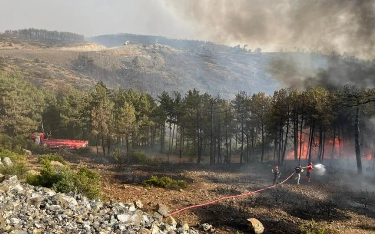 Kocaeli Bursa'daki orman yangınına ekip gönderdi