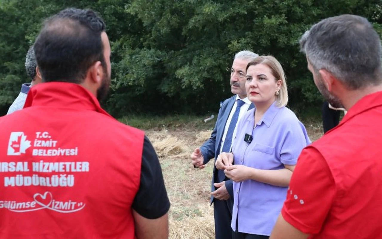 İzmit belediyesi nohut tarlasından hasat yaptı