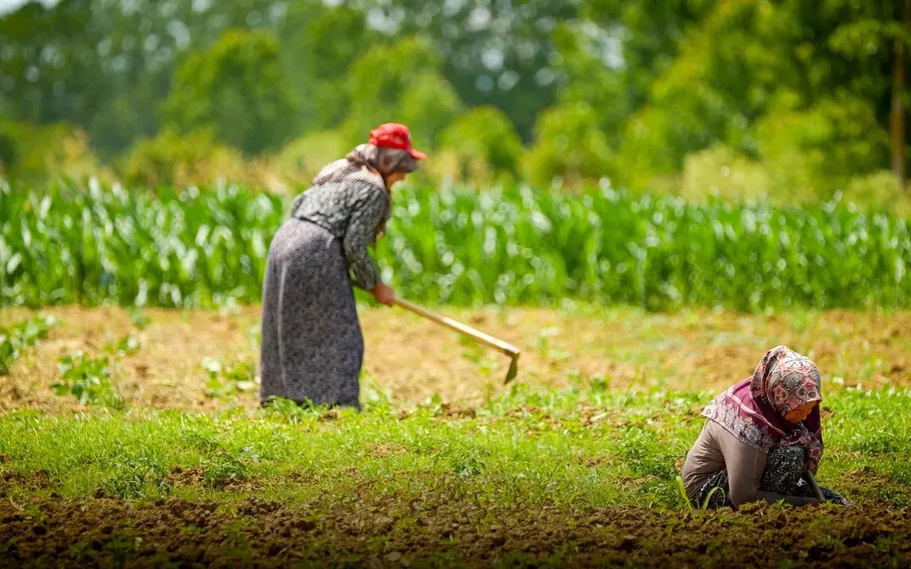 Toramanlar Göleti sulama projesi tarımı canlandırdı