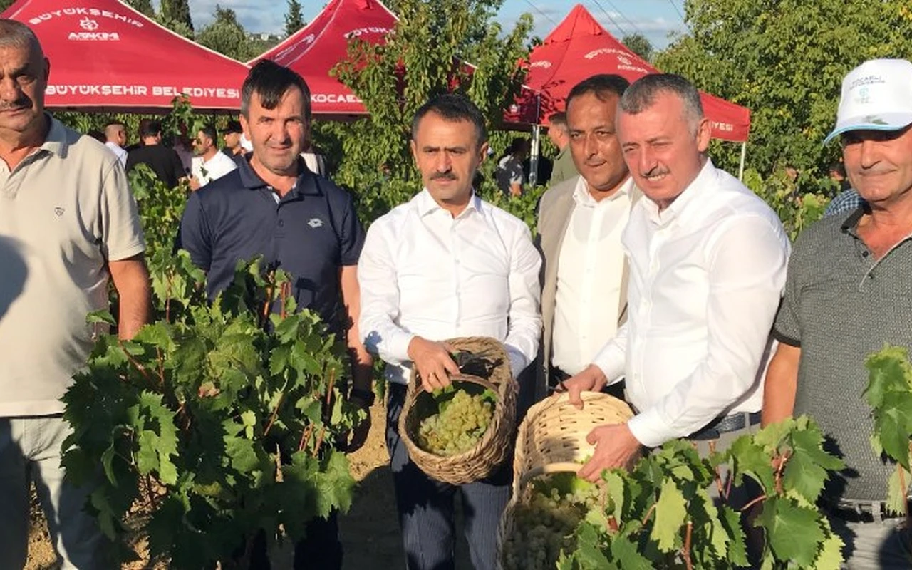 Başkan Büyükakın üzüm hasadına katıldı