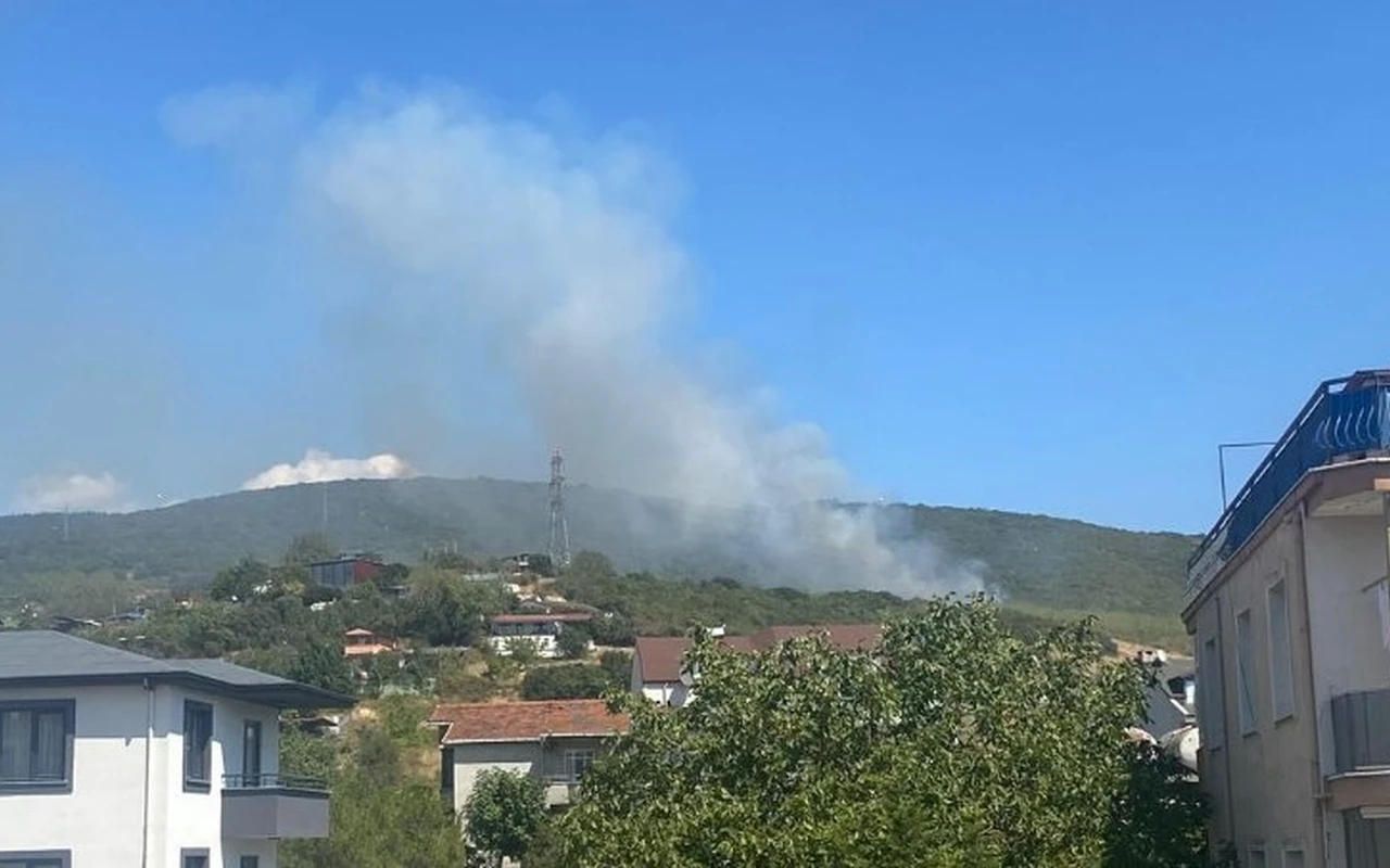 Kocaeli’de orman yangını yeniden başladı