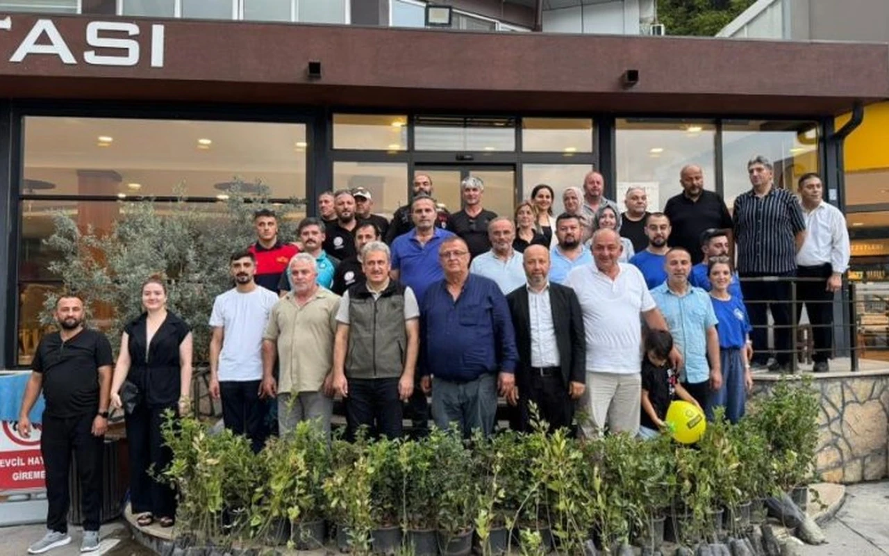 Geyve orman yangınına fidan desteği verildi