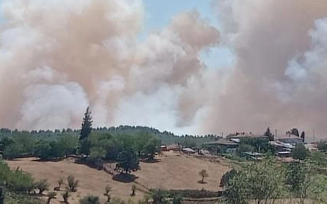 Karamürsel’de orman yangını çıktı