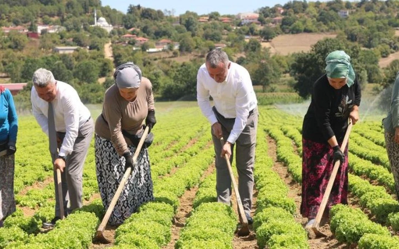 Kocaeli tarıma 1 milyar TL destek sağladı