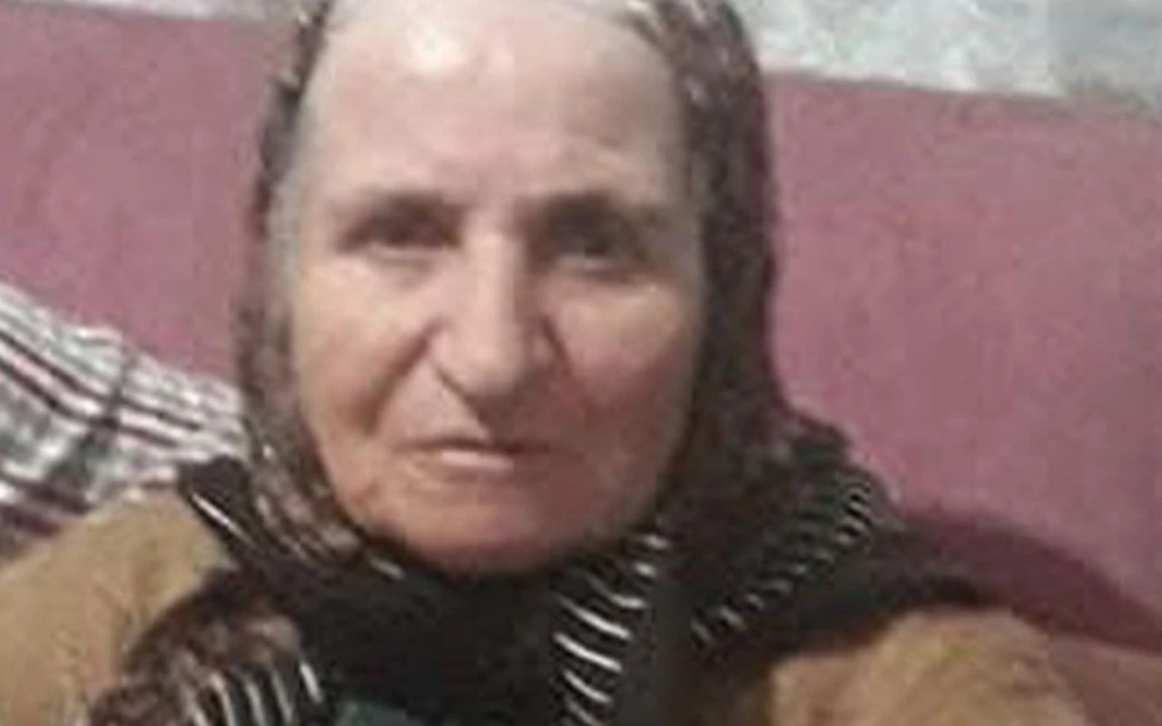Körfez'de otomobil 72 yaşındaki kadına çarptı