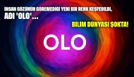 Bilim dünyası şokta: İnsan gözünün göremediği yeni bir renk keşfedildi, adı 'Olo'
