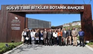 Düzce Üniversitesi'nde Anadolu'nun ağaçları sergisi açıldı: Doğa ve sanat bir arada