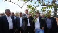 TZOB Genel Başkanı Bayraktar, Gaziantep'te dondan etkilenen bahçeleri inceledi: Bahçeler don ve yağışsızlıktan oldukça etkilendi