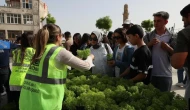 Mardin Belediyesi'nden fesleğen atağı: 60 bin fide ücretsiz dağıtıldı