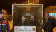 Enez'de drone ile yakalanan hırsızlar: Ahırdan 6 hayvan çaldılar
