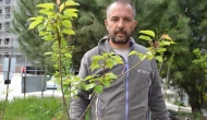 Volkan Ayaz, dededen kalma fidancılık geleneğini sürdürüyor: Hangi fidanlar en çok ilgi görüyor?
