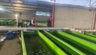 Erzincan'daki su ürünleri tesisinde önemli üretim: Yılda 15 milyon yavru alabalık üreterek bölge ekonomisine katkı sağlıyor