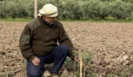 Yunusemre Belediyesi, 21 bin fidanla kırsal kalkınmada yeni bir adım attı: Üreticiler memnun