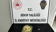 Sinop'ta şüpheli şahıs durduruldu: 48.91 gram bonzai ve sentetik haplarla yakalandı