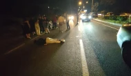 Kuşadası'nda gece yarısı feci kaza: Motosiklet domuz sürüsüne çarptı, sürücü ağır yaralı