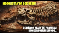 Moğolistan'da şok keşif: 95 milyon yıllık 'iki parmaklı' dinozor fosili bulundu