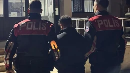 Kocaeli’de bonzai ele geçirildi