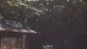 Kocaeli’ye yılın ilk karı düştü