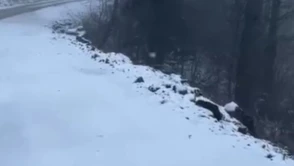 Kartepe kar yağışıyla beyaza büründü