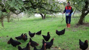 Kocaeli üreticiye yüzde 50 hibe desteği verdi