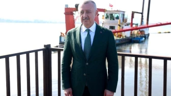 İzmit Körfezi yunusların şölenini sunuyor