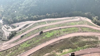 Körfez’e 3 bin 300 Toros sediri dikilecek