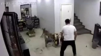 Kocaeli Kartepe kuaförde köpek saldırısı: Zincirinden kurtulan köpek ısırdı