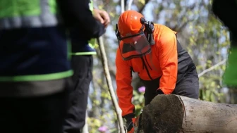 Siren sesleri ormanda yankılandı: Akçakoca'daki tatbikat gerçeği aratmadı