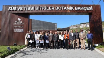 Düzce Üniversitesi'nde Anadolu'nun ağaçları sergisi açıldı: Doğa ve sanat bir arada