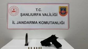 Şanlıurfa'da ruhsatsız silah operasyonu: Birecik ve Siverek'te çok sayıda silah ele geçirildi