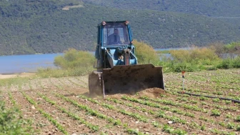 Devlet çiftçiye "ekin" diyor, DSİ ekili alanları düzlüyor